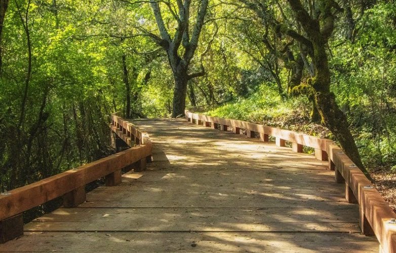 Jack London State Historic Park