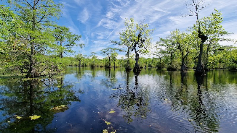 Merchants Millpond State Park