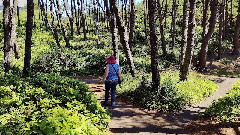 Gleneden Beach State Recreation Site
