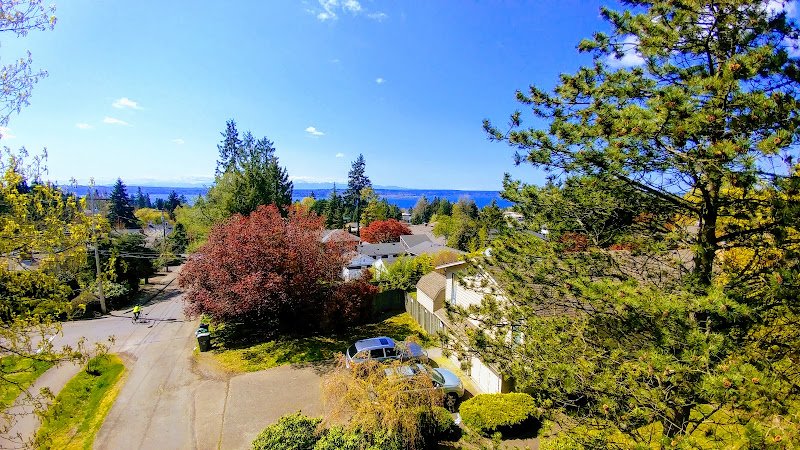 Bridle Trails State Park