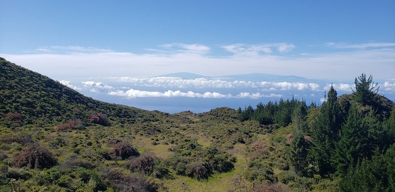 Waipoli Road, Kula Maui,HI