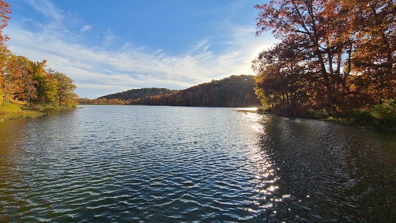 Yellowwood State Forest