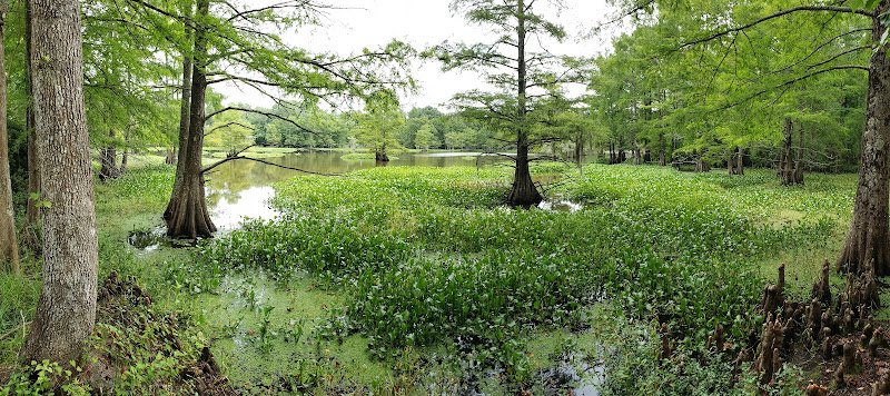 Rush Creek Unit, Martin Dies Jr State Park