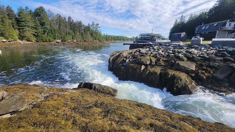 Holbrook Island Sanctuary