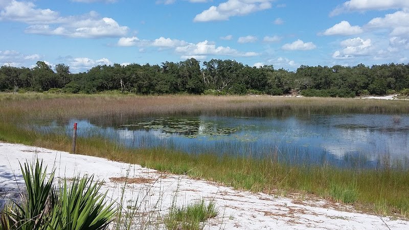Allen David Broussard Catfish Creek Preserve State Park