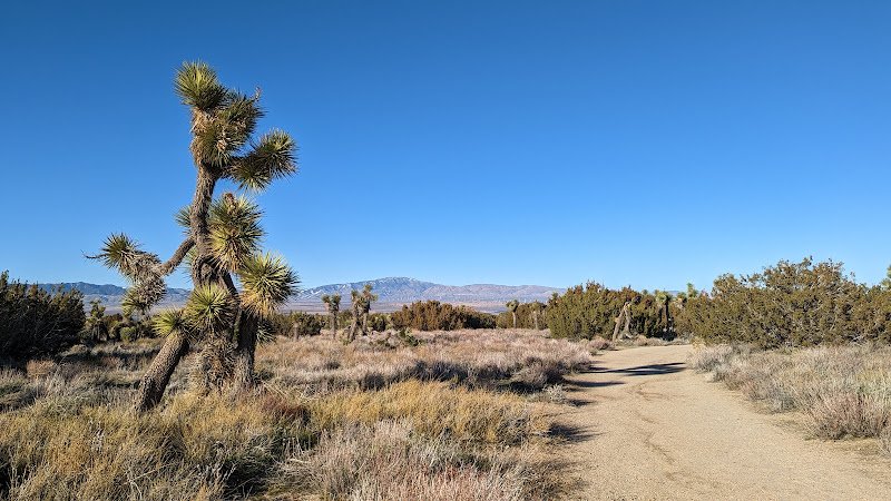 Arthur B. Ripley Desert Woodland State Park