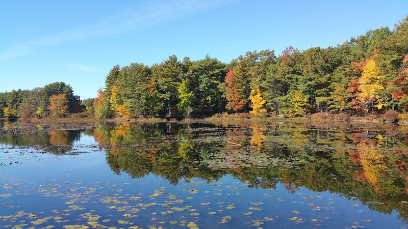 Marlborough-Sudbury State Forest