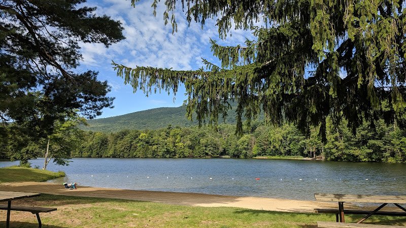 Lake Shaftsbury State Park- Forestry Department