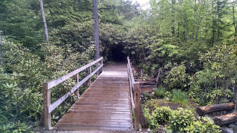 Rhododendron State Park