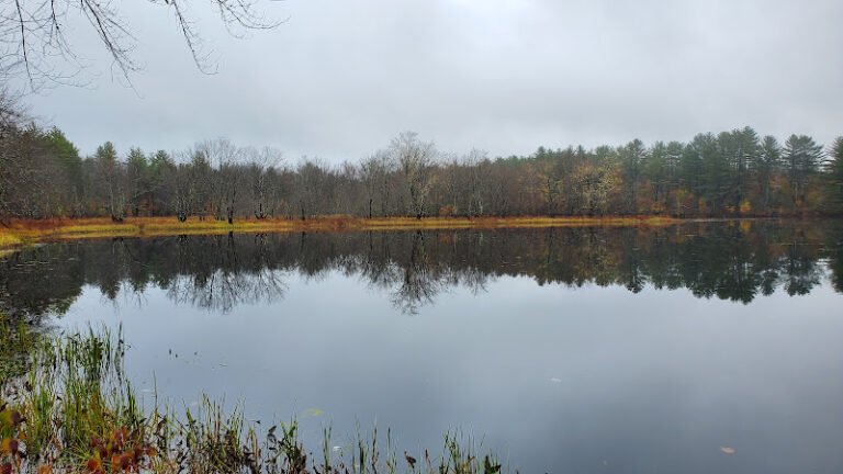 Mast Yard State Forest trailhead