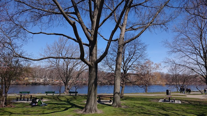 Artesani Playground Wading Pool and Spray Deck