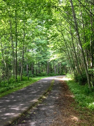 Banks-Vernonia State Trail