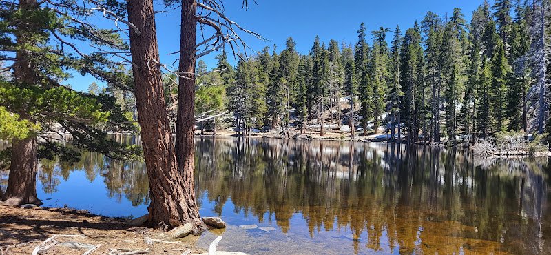 Mount San Jacinto State Park