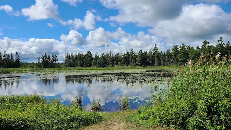 Wilderness State Park