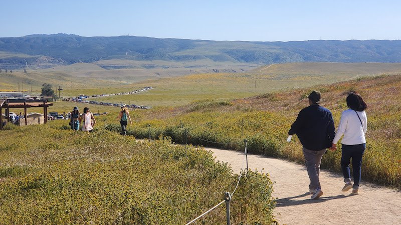 Antelope Valley California Poppy Reserve