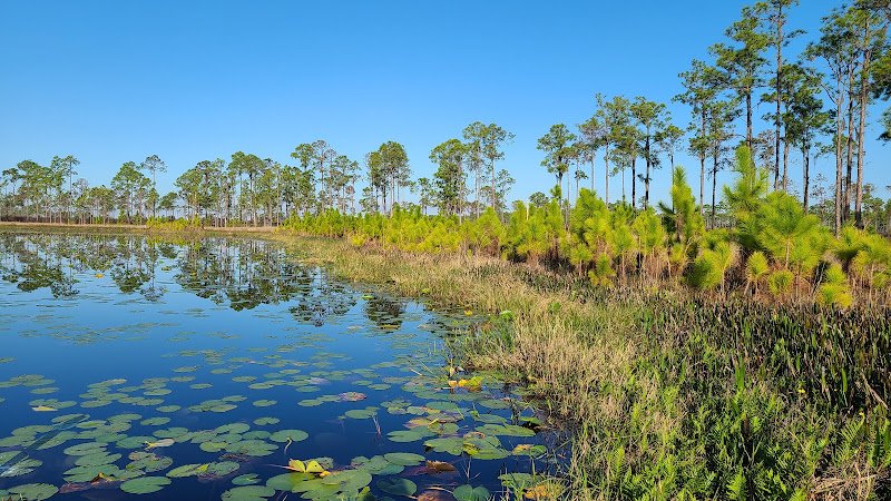 Lake Wales Ridge State Forest, Arbuckle Tract