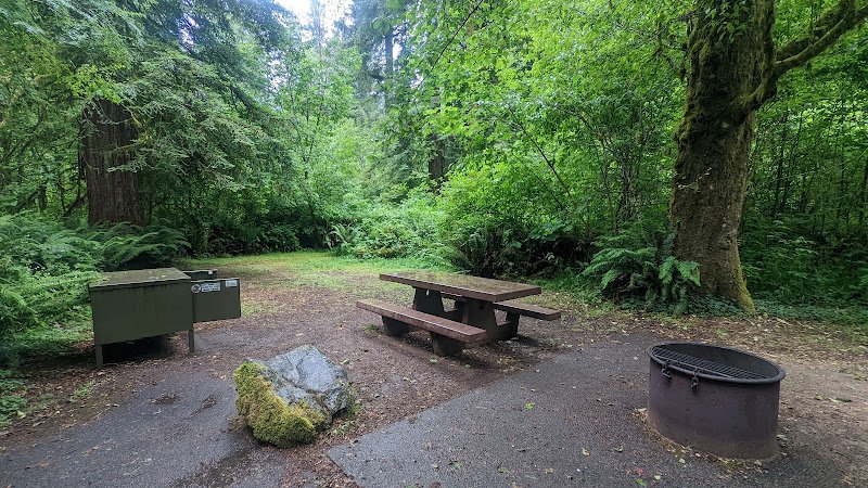 Del Norte Coast Redwoods State Park