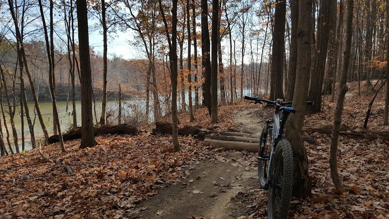 Alum creek State Park Launch Ramp picnic area