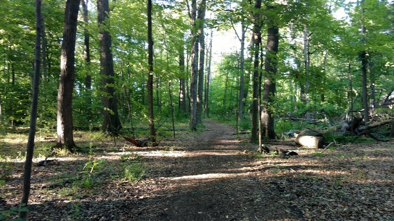 De Veaux Woods State Park