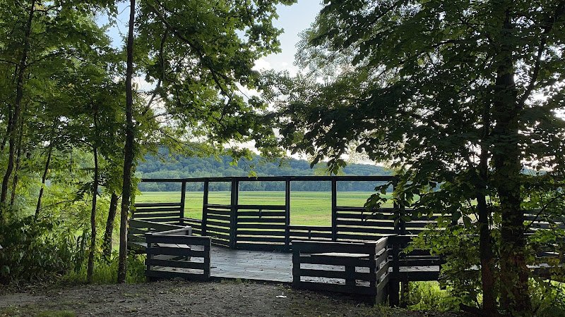 Stillwater Marsh Water Fowl Resting Area