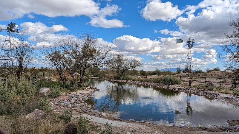 White Tank Mountain Regional Park