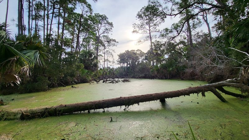 Cape St George Island State Reserve