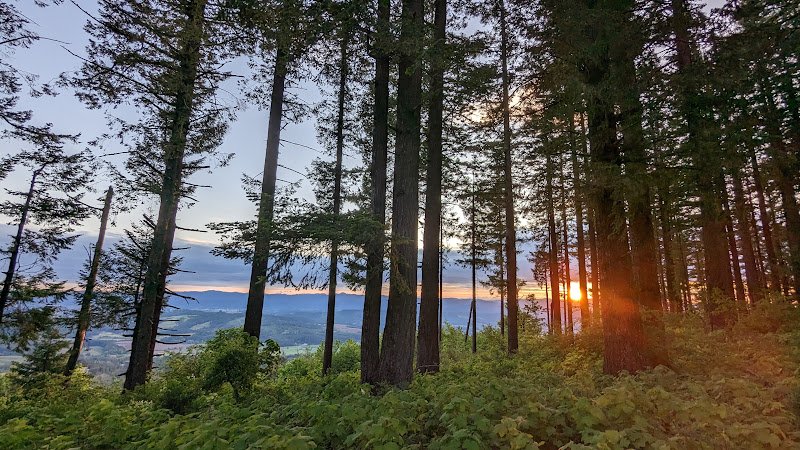 Bald Peak State Scenic Viewpoint