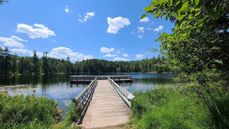 Hartwick Pines State Park