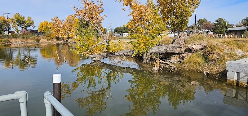 Wildlife viewing area