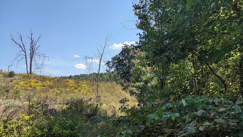 William Penn State Forest