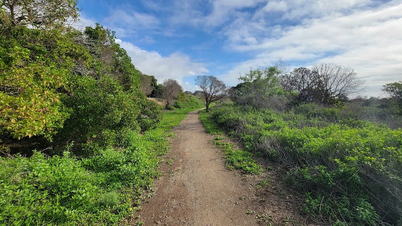 Trails State Beach