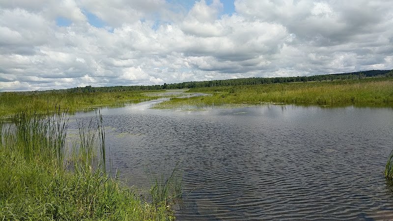Weaver Lake Fishing Access Site State Of New York