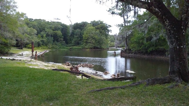 Withlacoochee State Forest