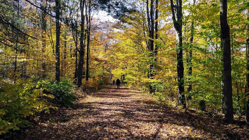 Moshannon State Forest