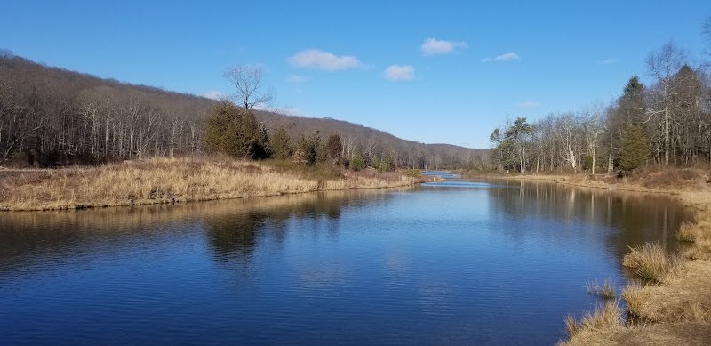 Worthington State Forest